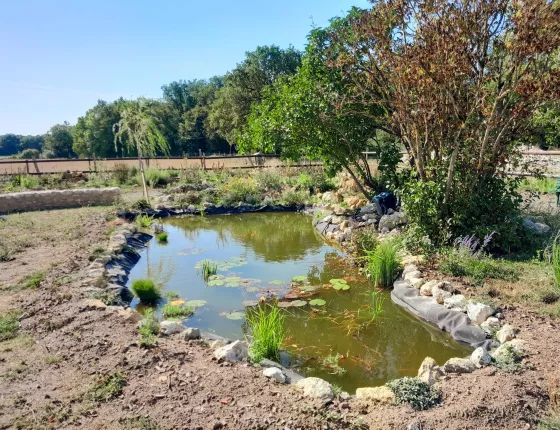 Réalisation d’un bassin-après