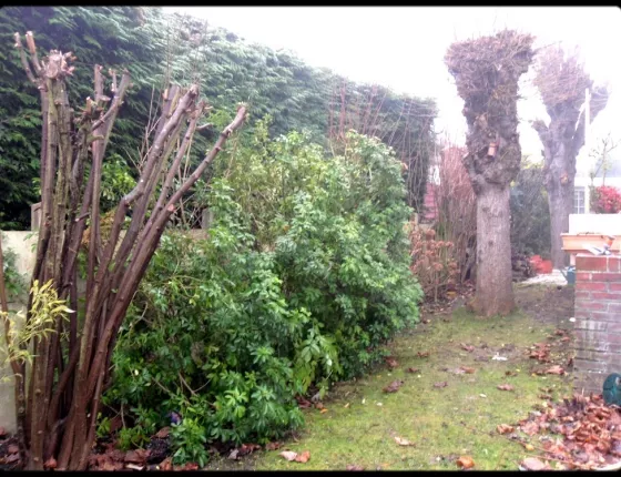 Réaménagement d’un fond de jardin-avant