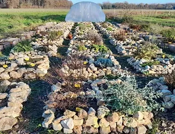 Réalisation d’un jardin de curé d’herbes aromatiques