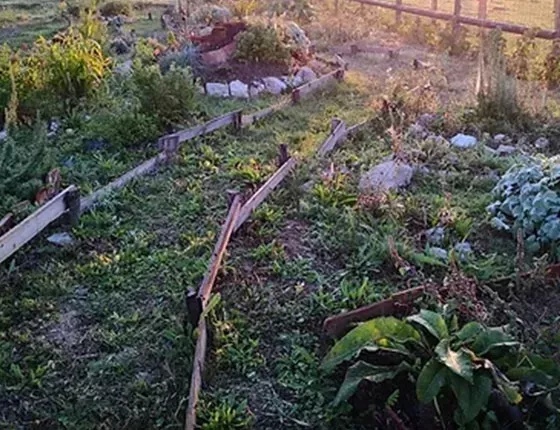  Réalisation d’un chemin champêtre fleuri