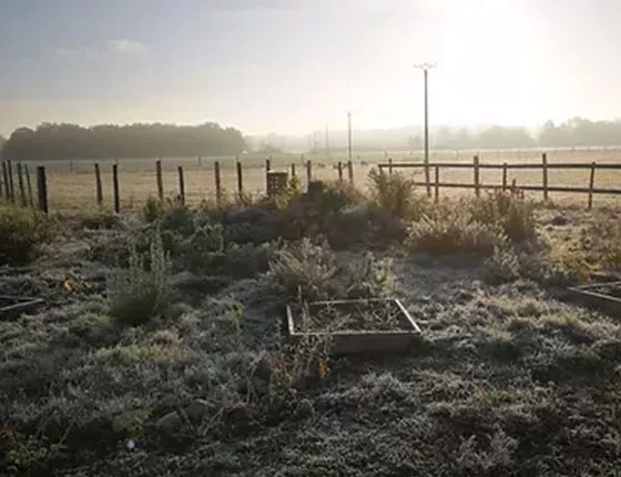  Réalisation d’un jardin-Mandala